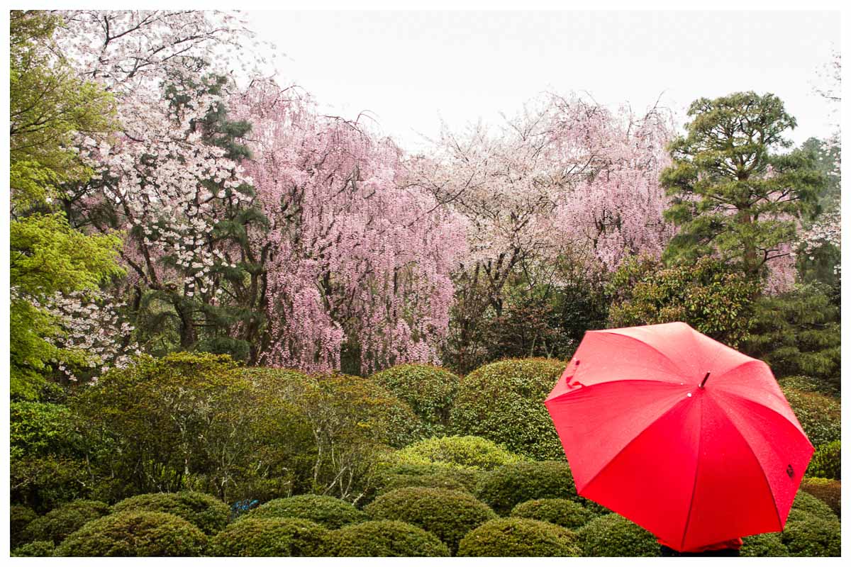 Kyoto, Japan