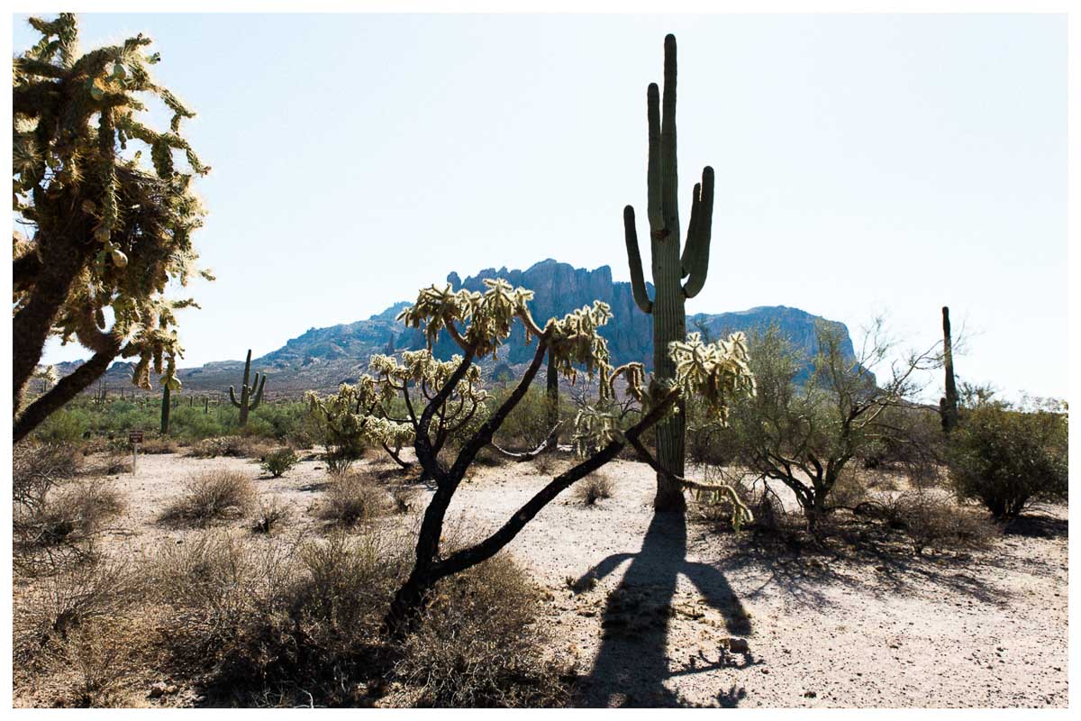 Phoenix, Arizona