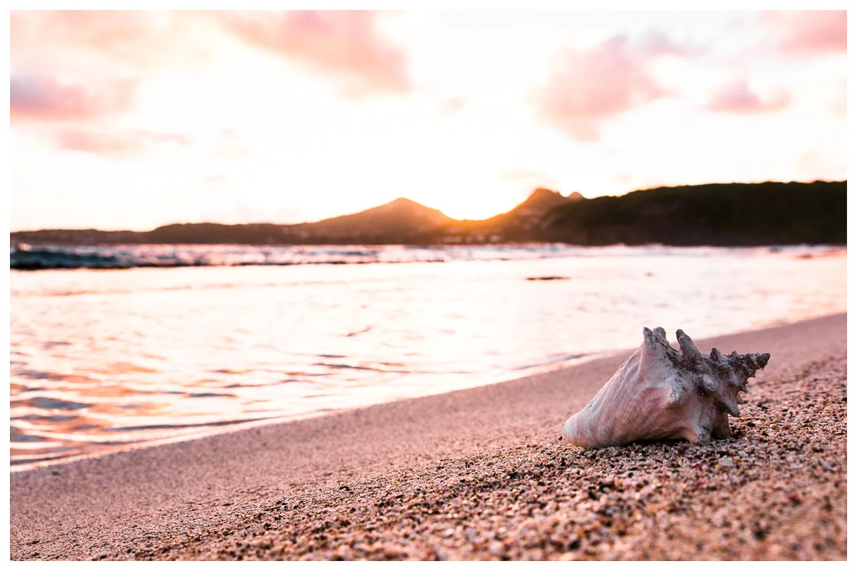 St. Barts