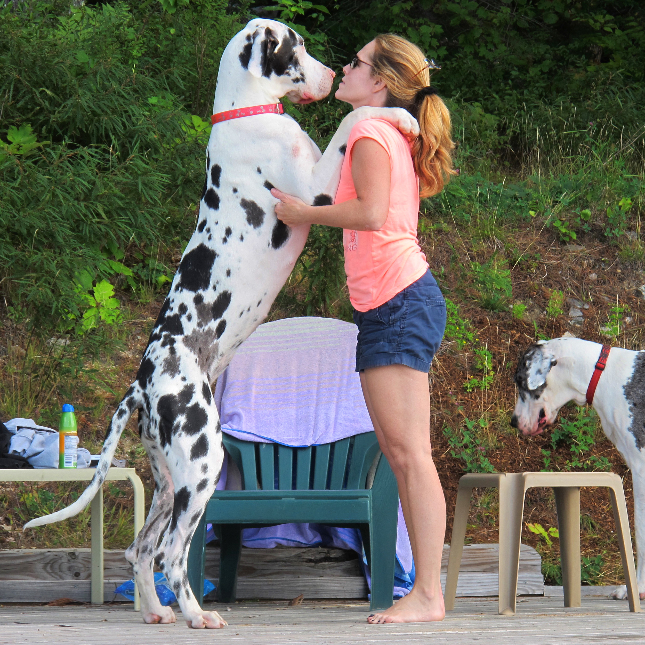 Mischa: She is in charge of scheduling vacation time