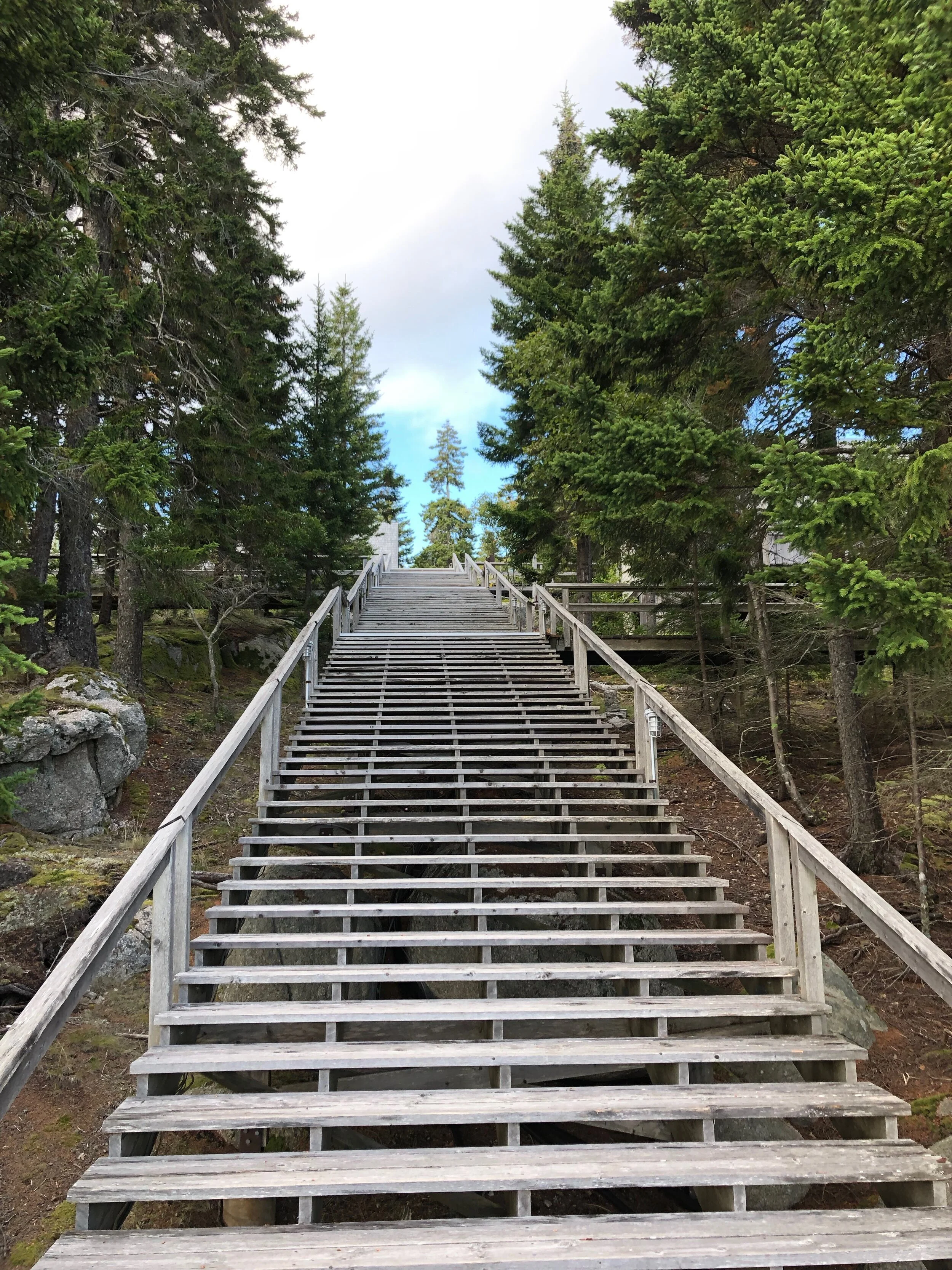 The inspiration behind the design.