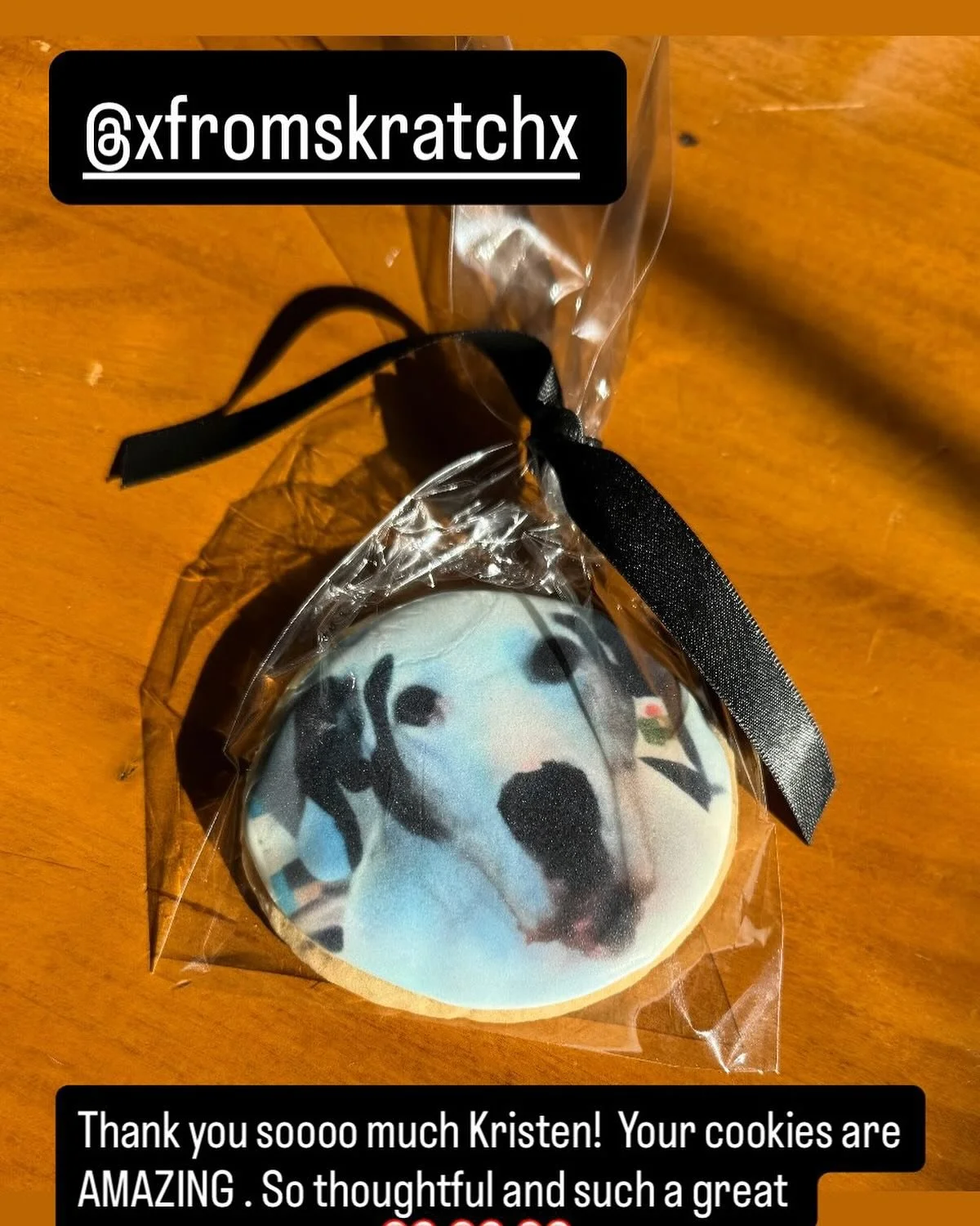 Thank you so much Kristen! What an amazing tribute to Mischa!❤️❤️❤️