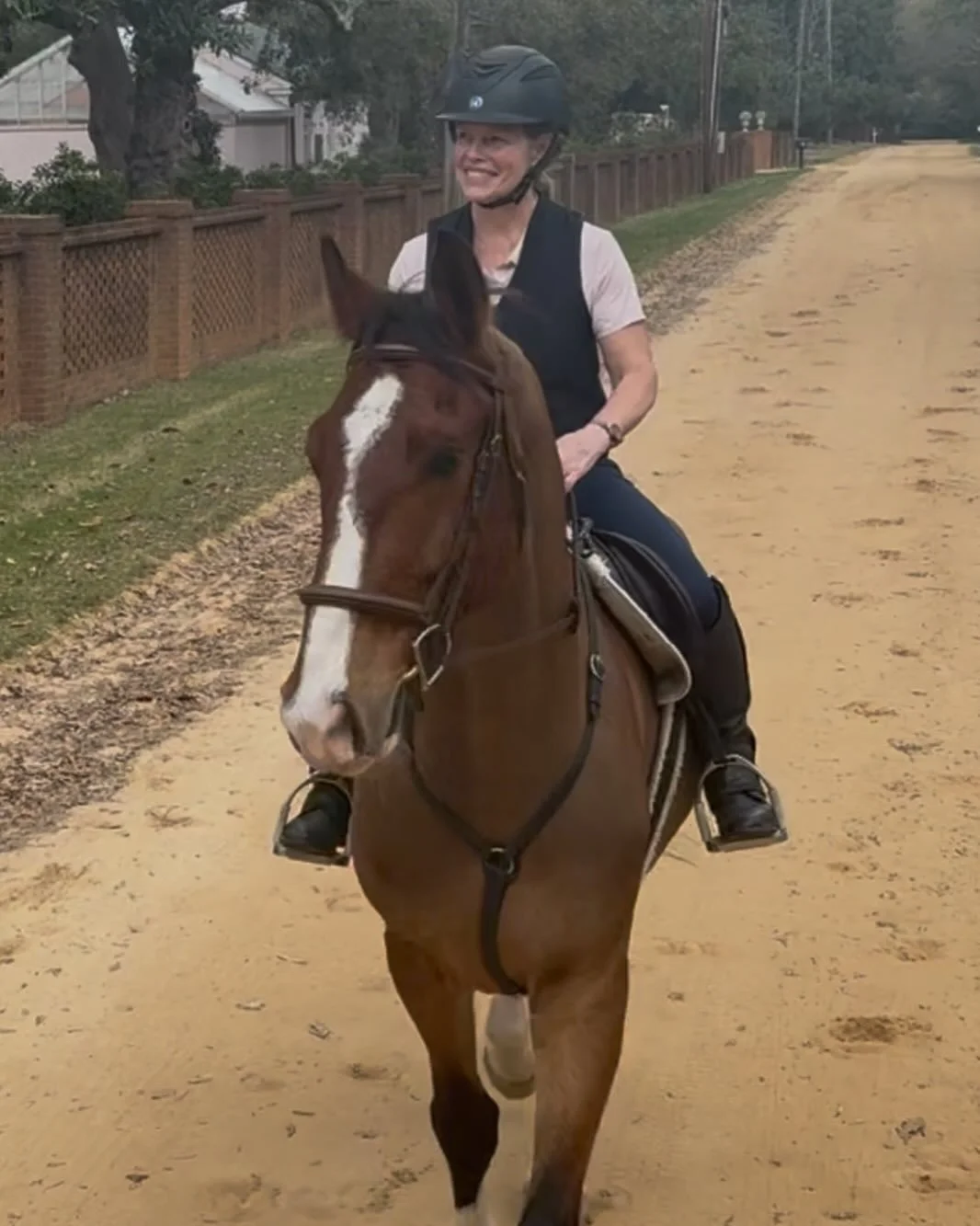 Love this boy Chester!