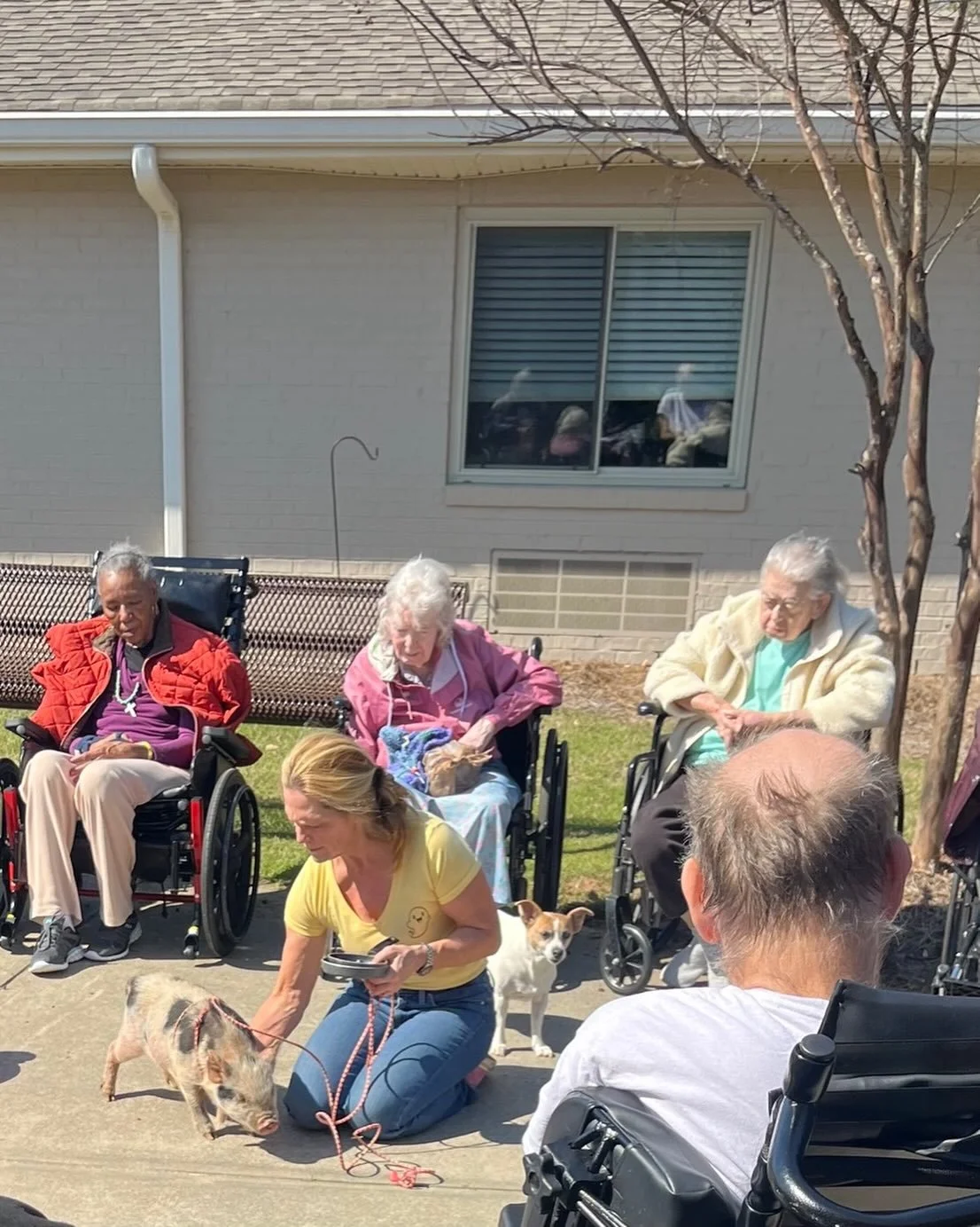 This little one knows his job at the nursing home visits❤️