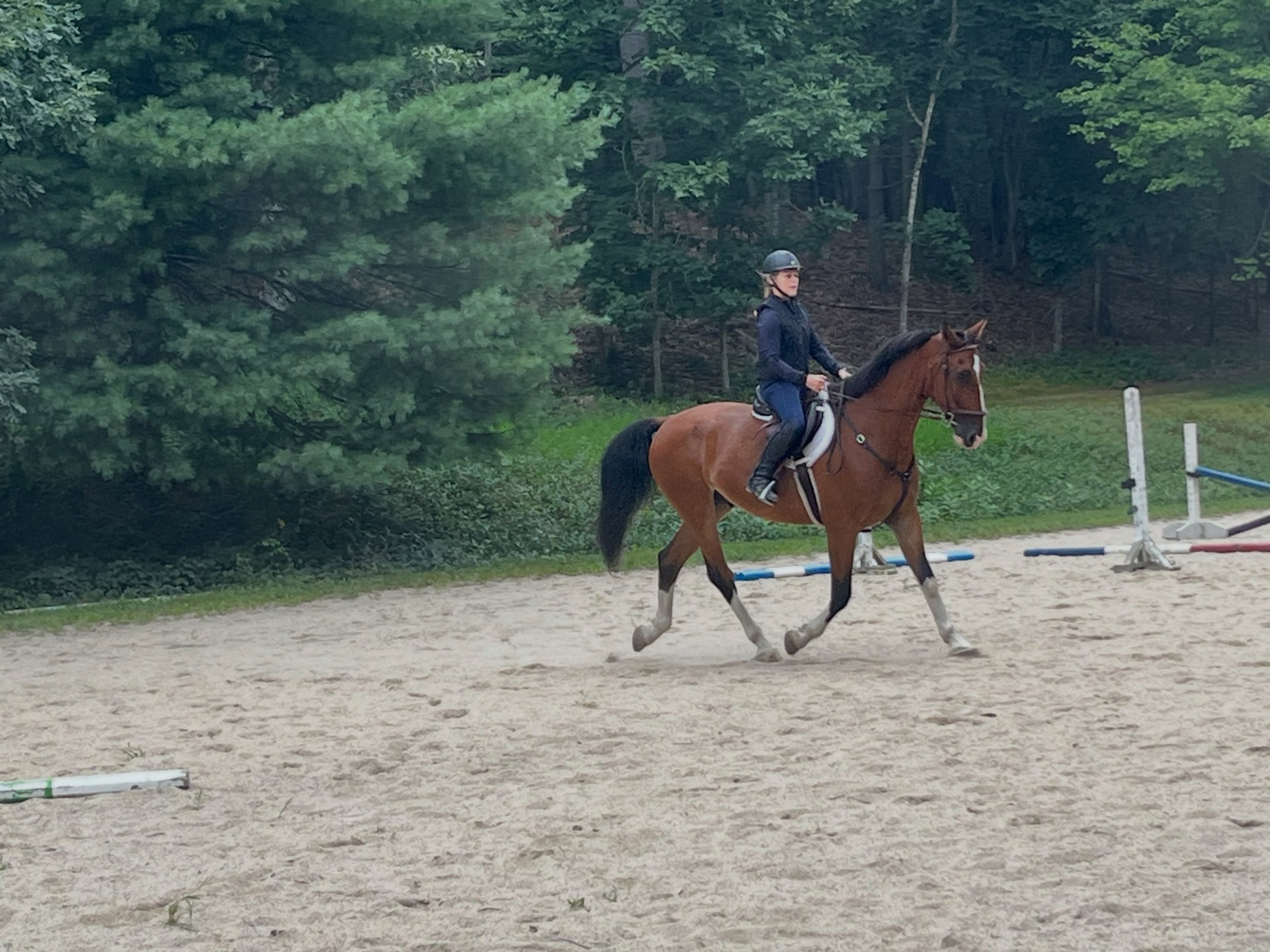 Thanks @laurie_penfield_fichter for such a great clinic and @j9jacques for the photos and loan of beautiful Chester❤️
