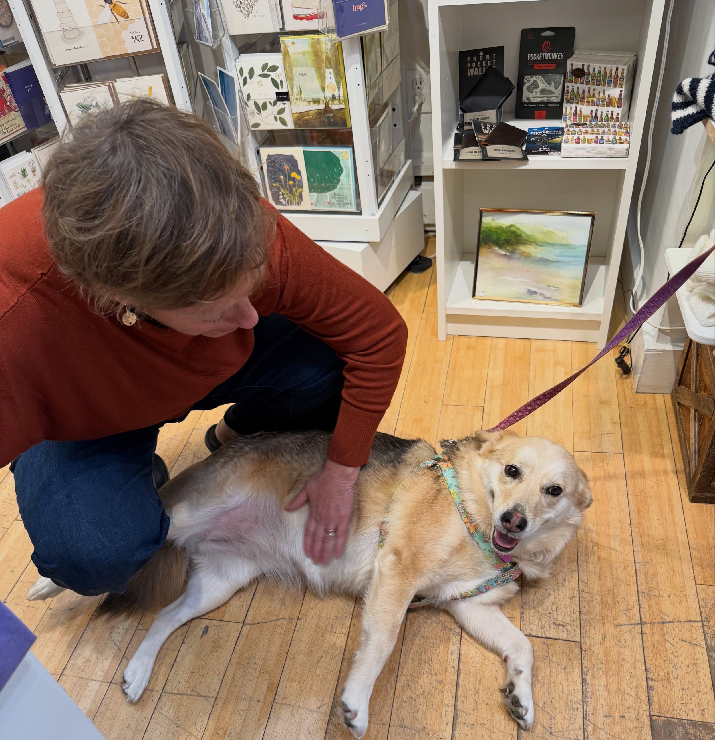 Sometimes we get dogs visiting the shop too! They we&rsquo;re checking out 👀 the Ipswich themed dog collars. The black and white dog is very camera shy and the other pup just wanted belly rubs, and we obliged! 🐶 🩵 #fridayfun