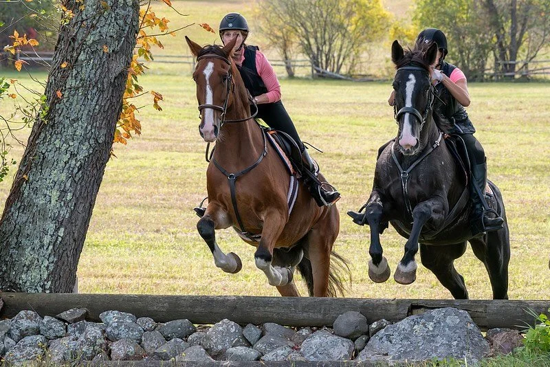 Hands-down, one of my most favorite Hunter Paces to date!  Thank you @myopiahunt, @groton_house_farm and @j9_jacques! @jennifer_swiezynski you are the best❤️❤️❤️