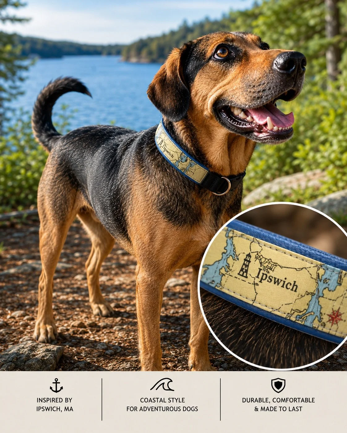 Ipswich Dog Collar.jpg