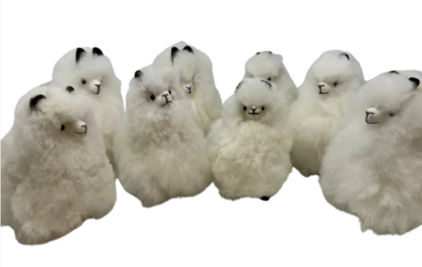 Screenshot 2025-08-20 at 10.09.33 AM.png