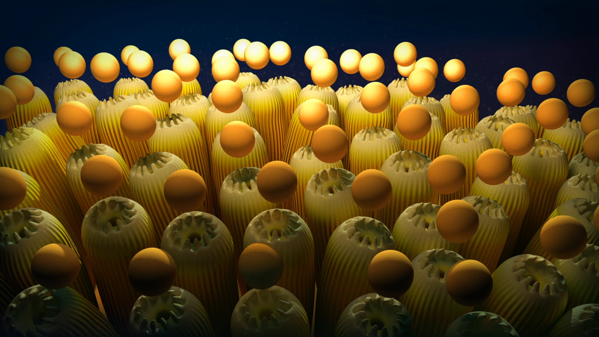 Visualizations Coral Hybrids.png