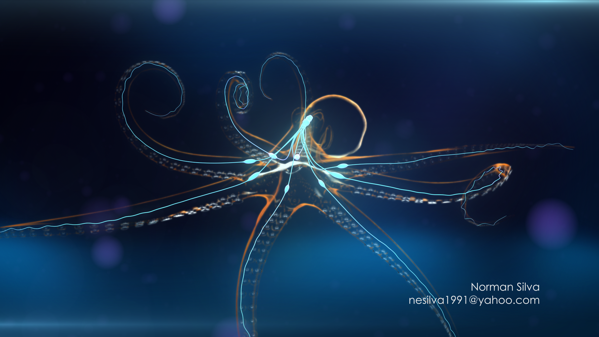 Visualizations-Norman Silva- Octopus.png