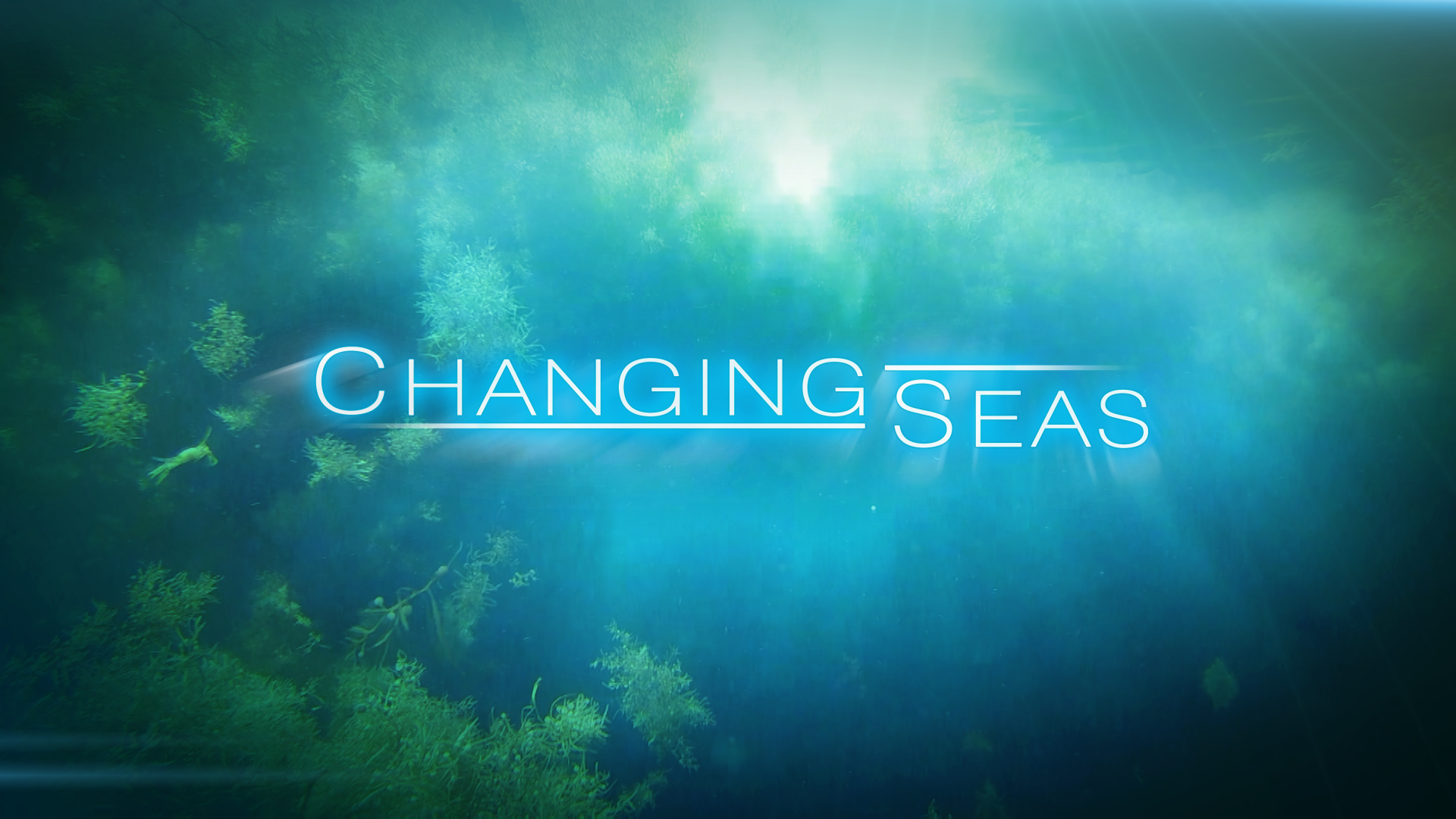 Motion Graphics-Changing Seas.png