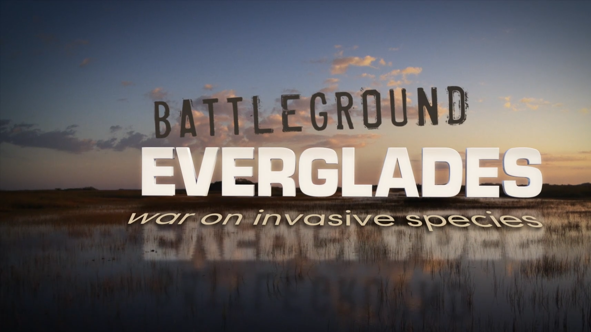 ScreenFrames-Battleground Everglades.png