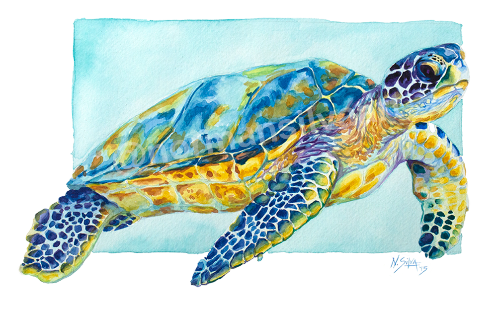 Seaturtle-Watermarked.png