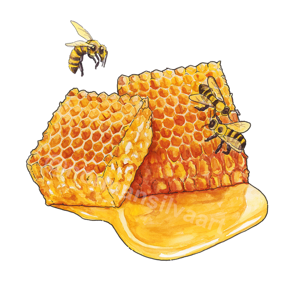 Food-Honey SM-Watermarked.png