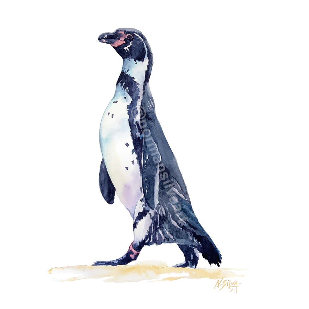Penguin-Watermarked.png