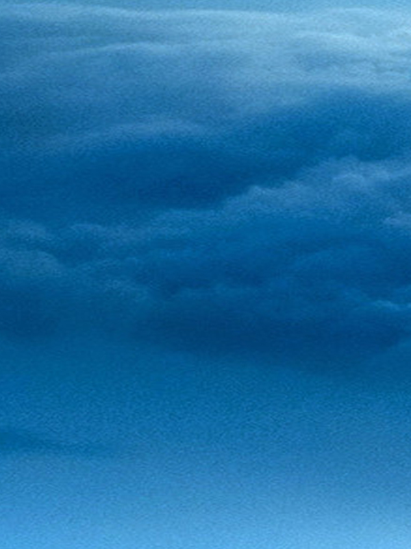 001_actionClimat.jpg