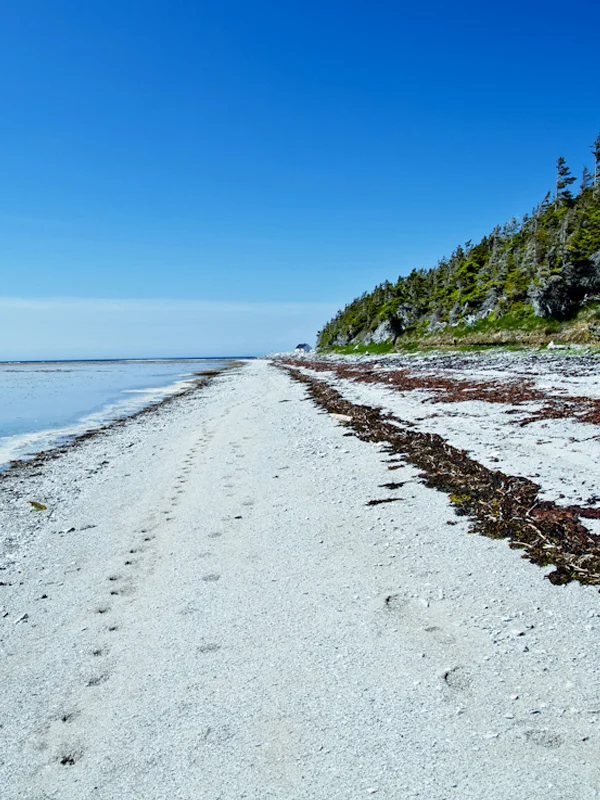 001_anticosti.jpg
