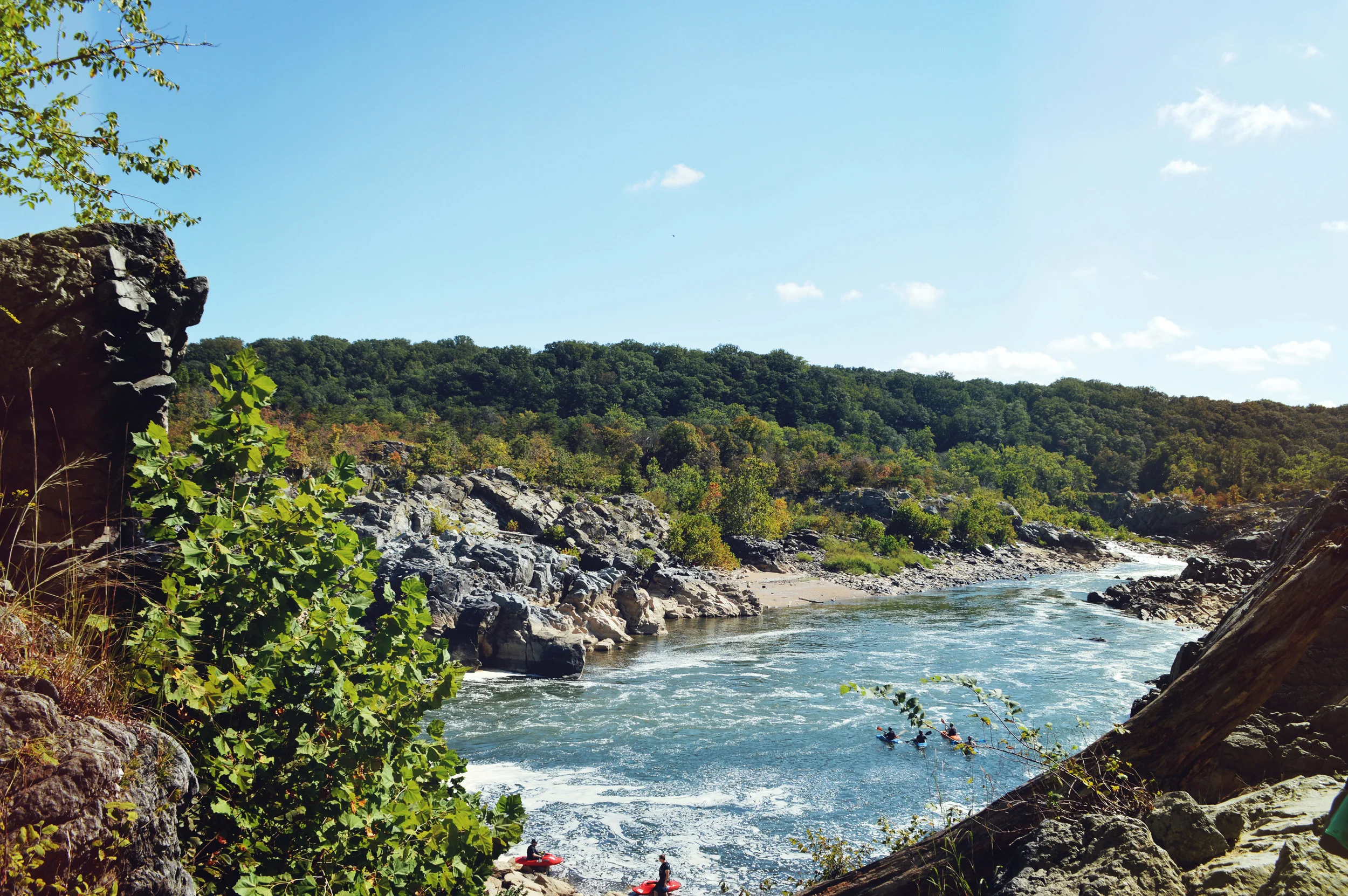 Great Falls, VA