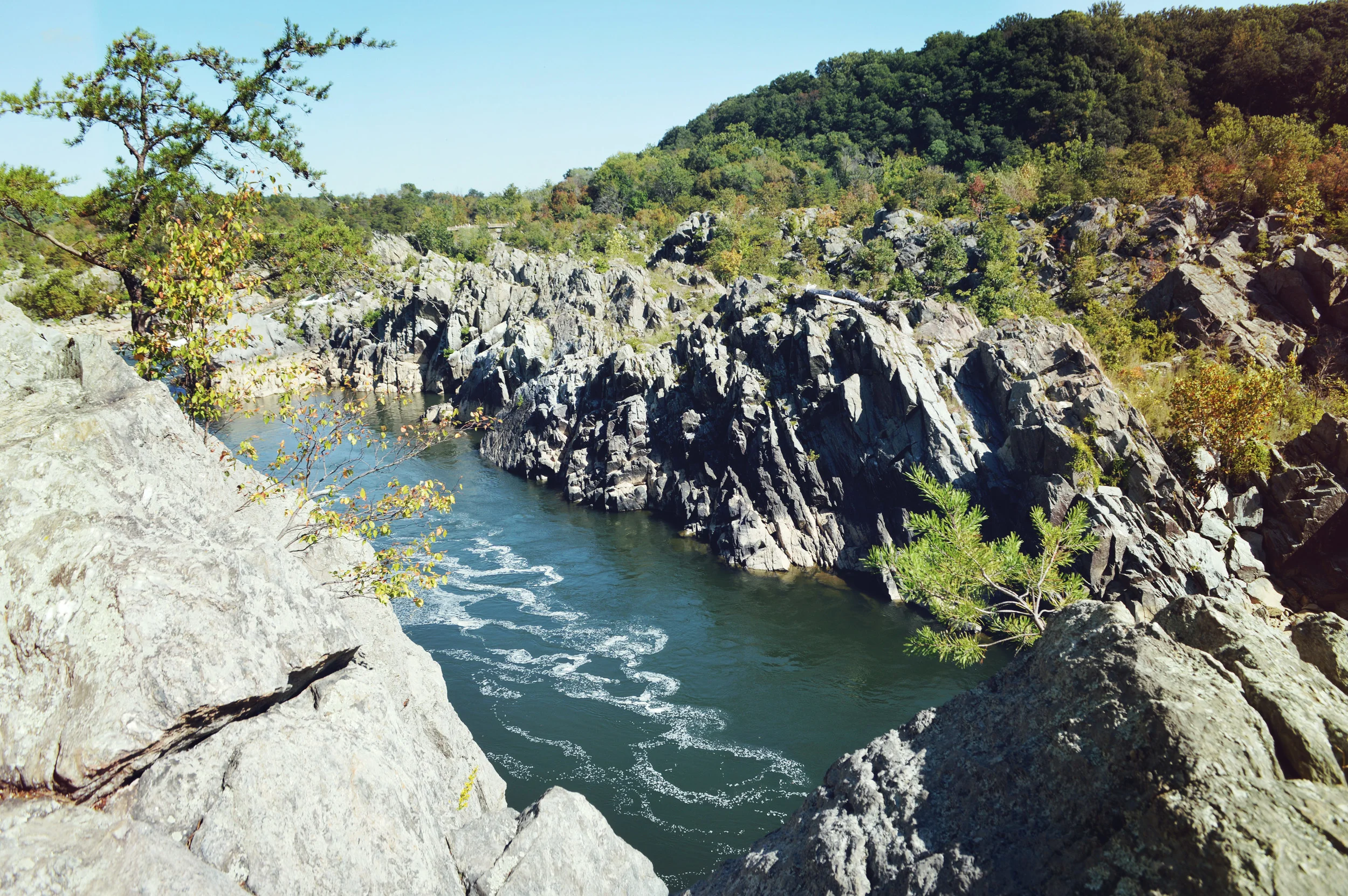 Great Falls, VA