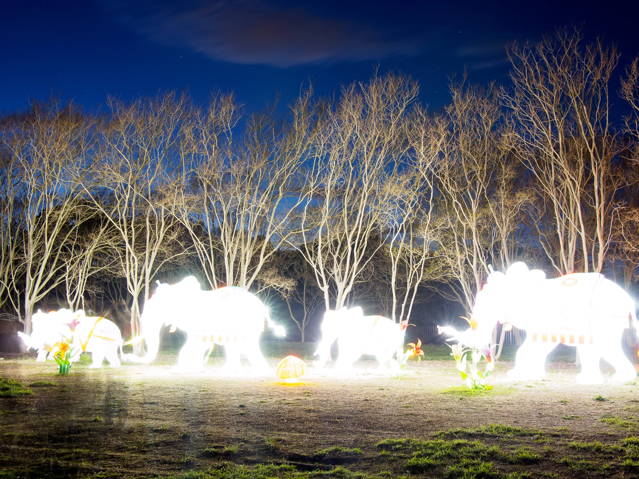 Light Exhibit - Norfolk, VA
