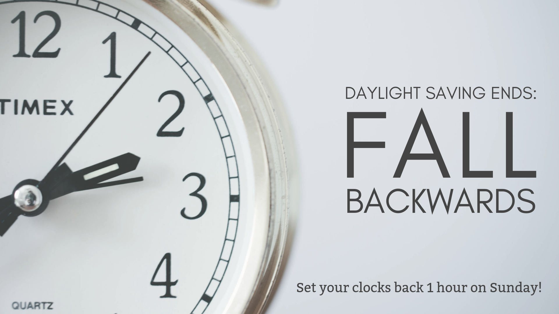 fallbackward (1).png