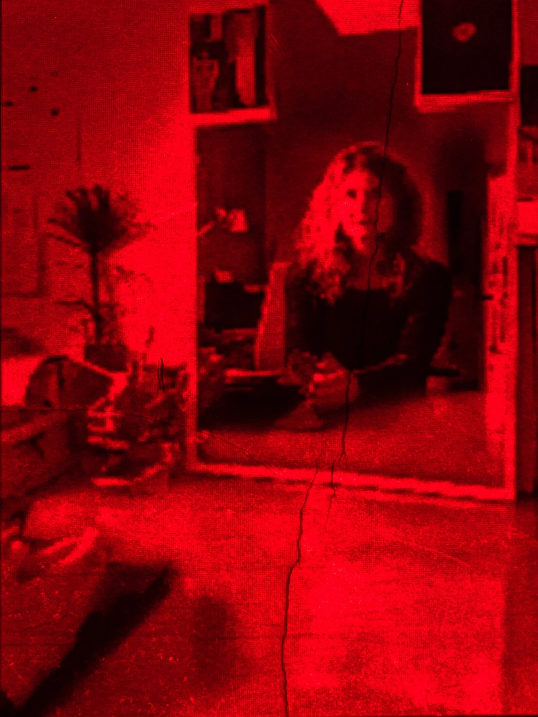Andrea Jeftanovic - At home in Santiago de Chile