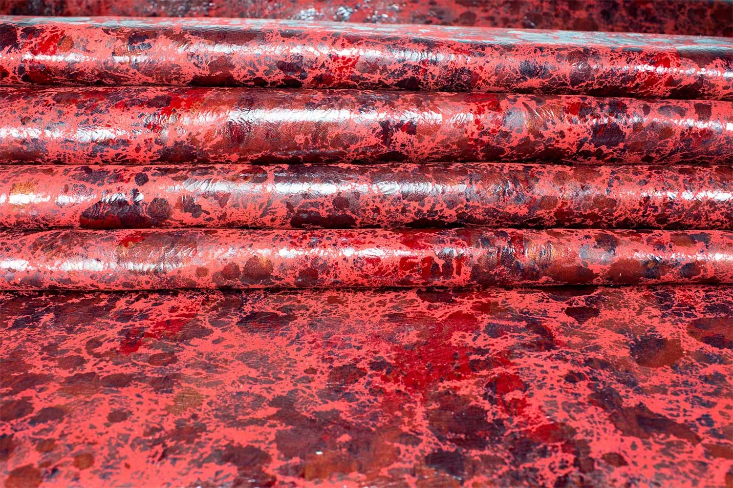 Dalmatian Red