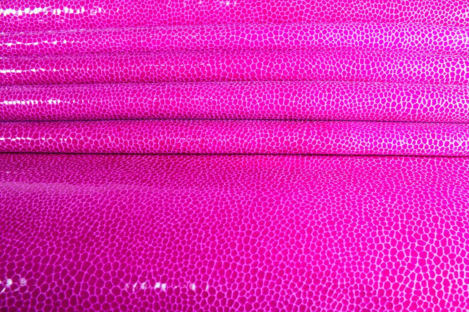 Uranus Fuchsia