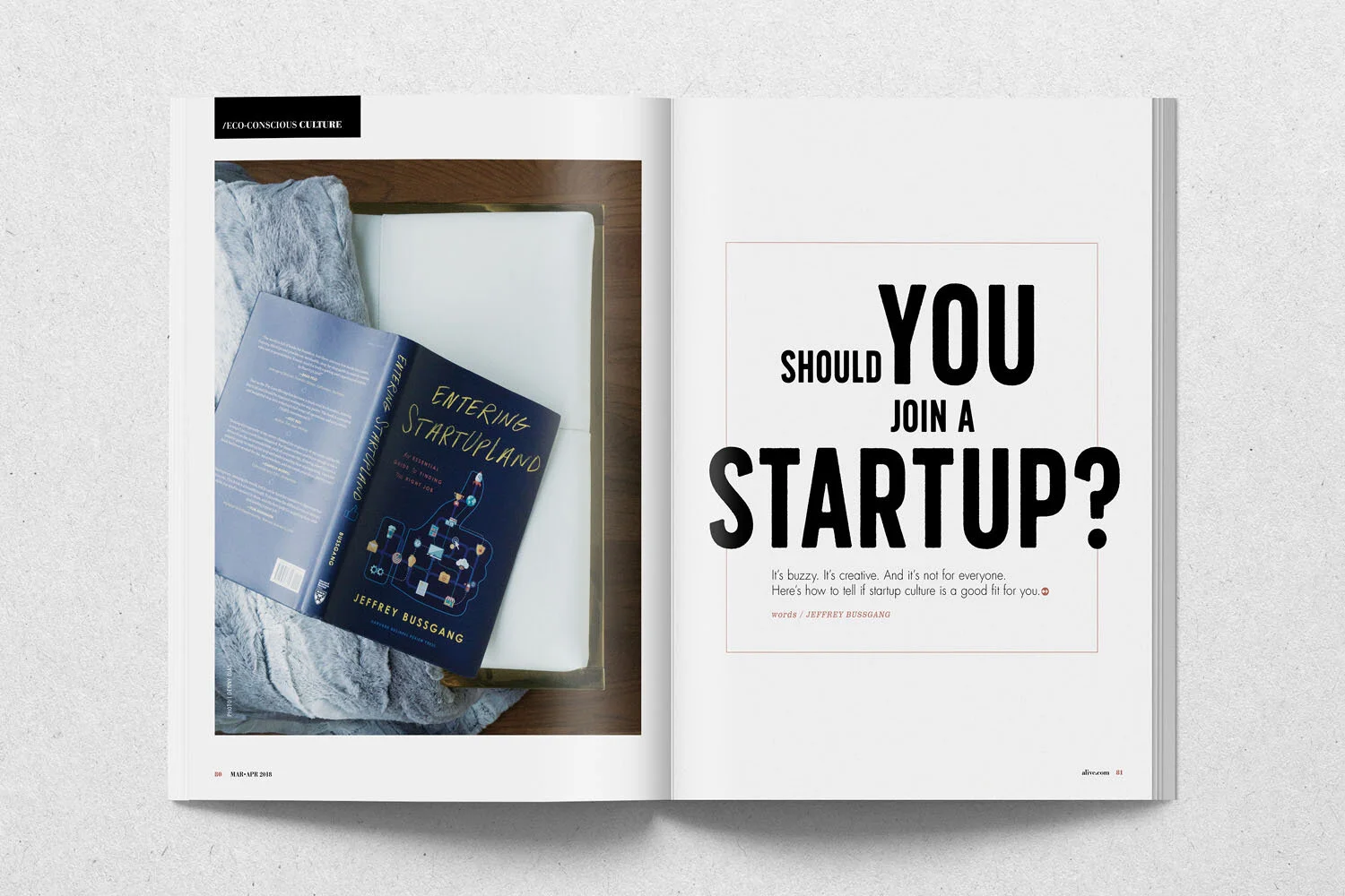 Startup2.jpg