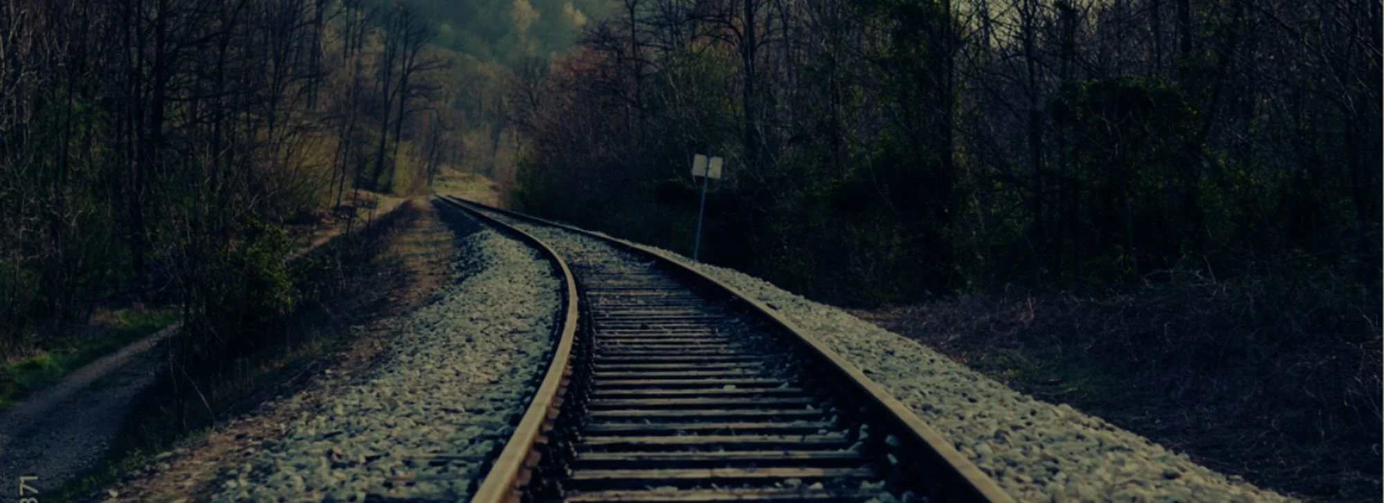 Untitled (3 x 11 in) (11 x 4 in).jpg