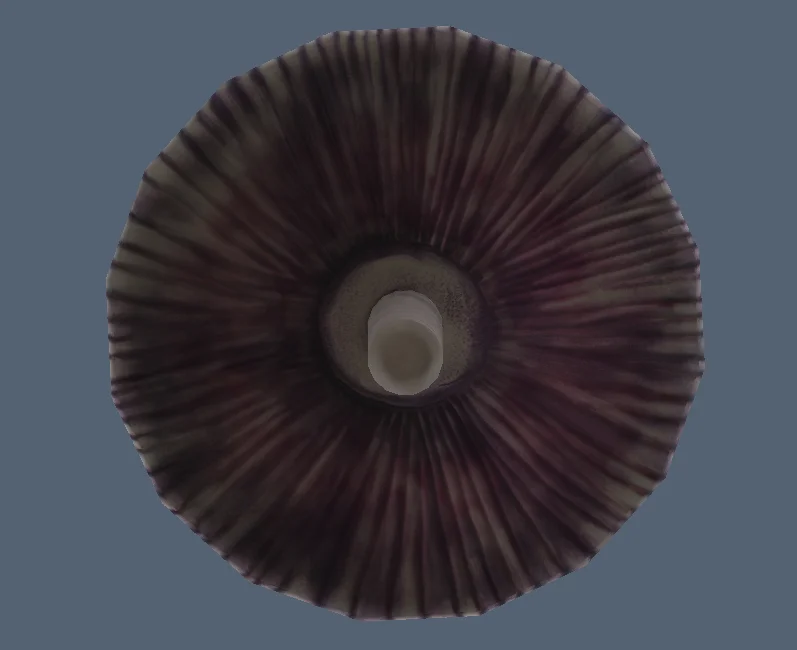 mushroom progress 6.jpg