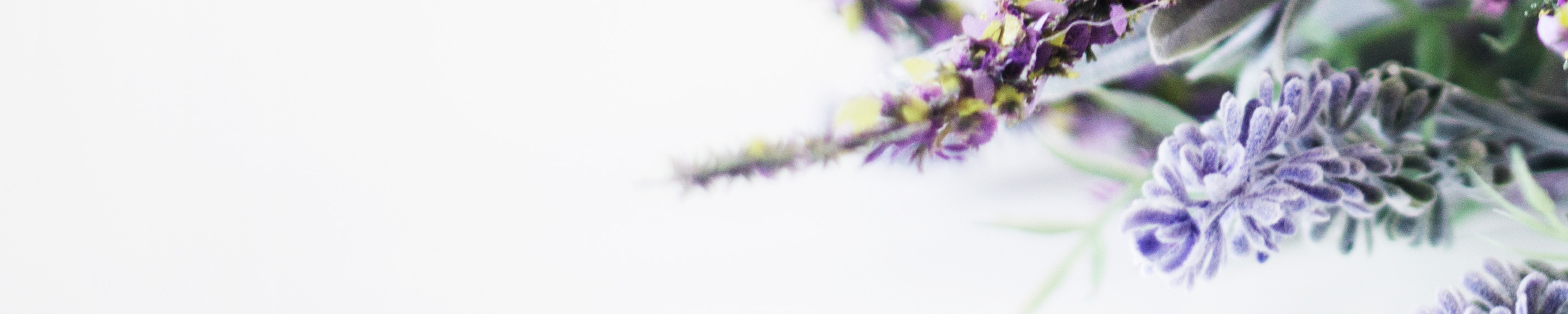 Coverpic91.png