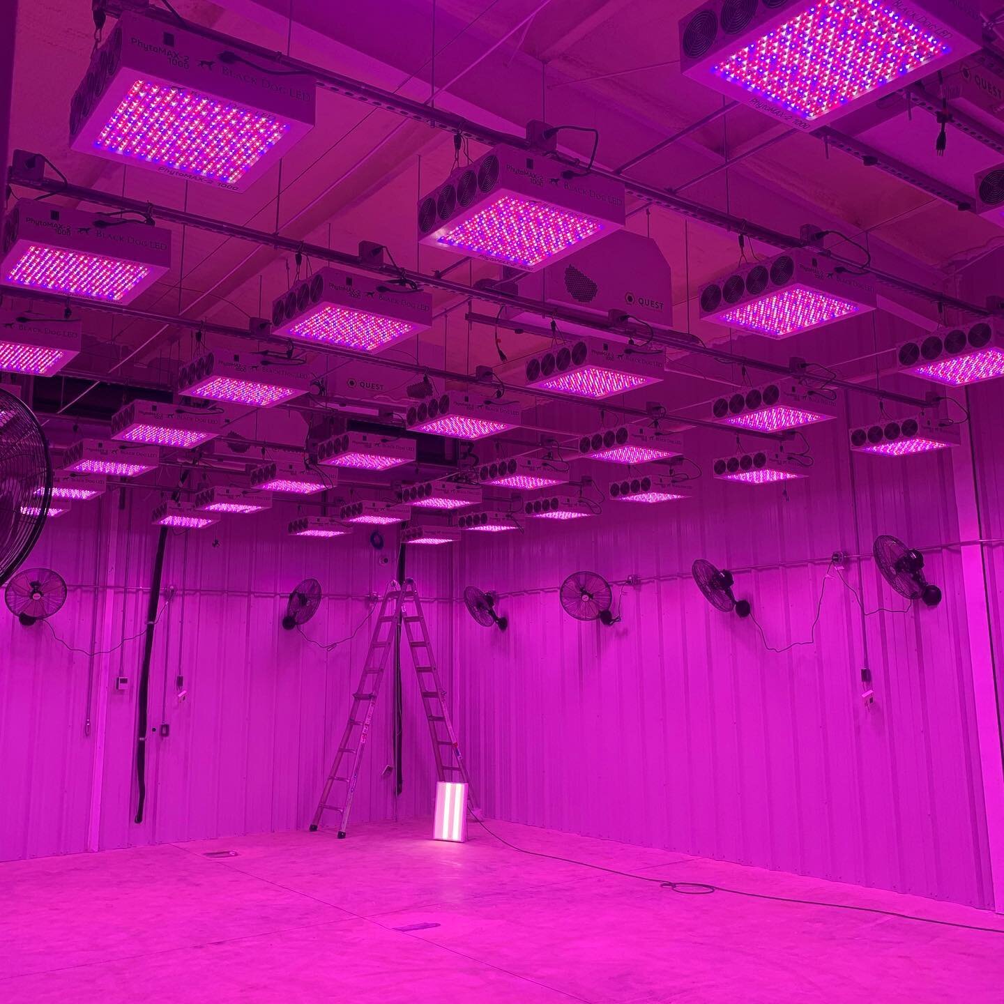 No filter on this bad boy just some lights for plants. I wonder if they&rsquo;ll sing &lsquo;Purple Rain&rsquo; while watering the plants on this grow? #purplerain #oklahomagrow #oklahomasecurity #alarmdotcom #ubiquiti #dahua #qolsys