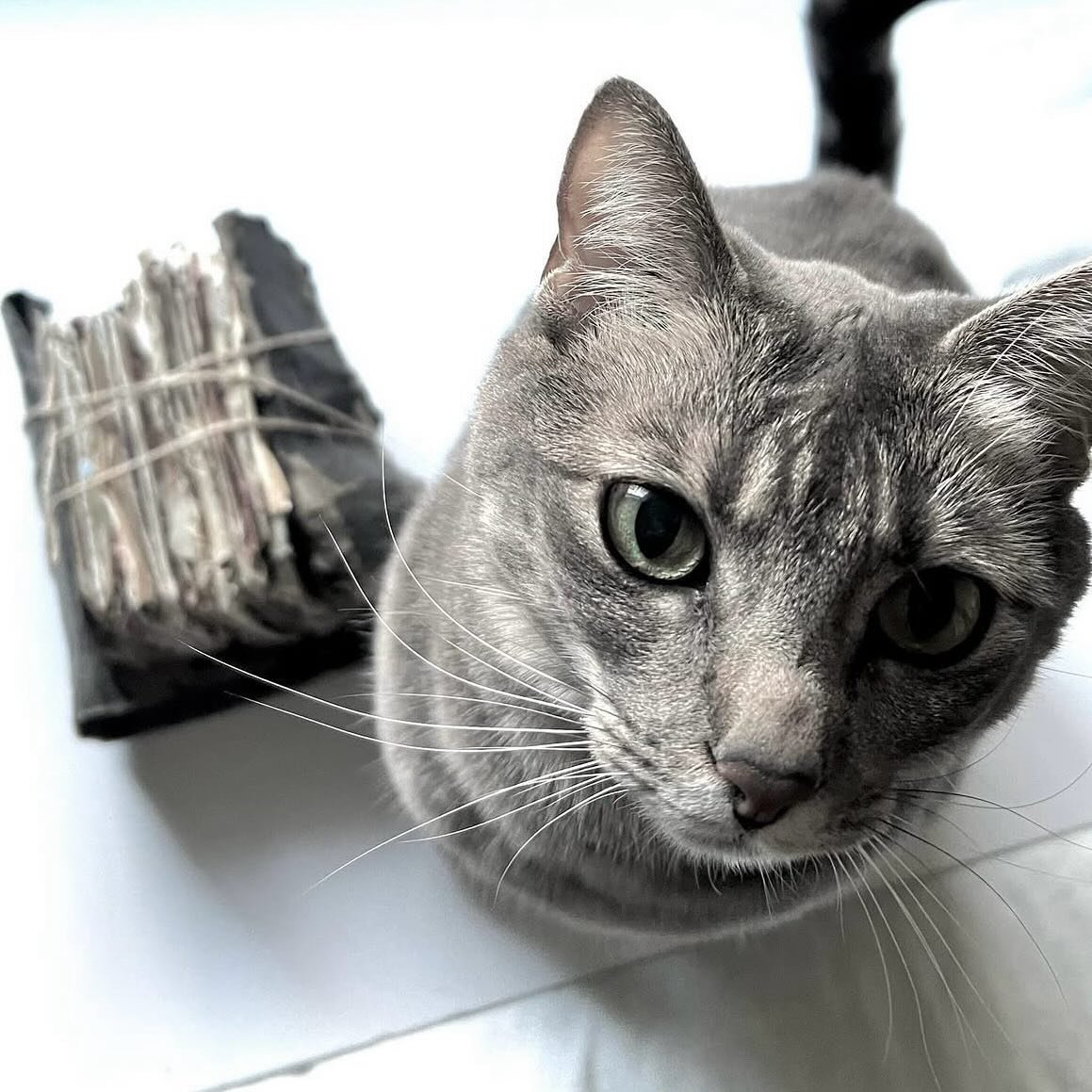 Softly, respectfully, considerately, yet unapologetically, she asks for what she wants. My Shinji, a true roll model. Of closeness and boundary. Attachment and autonomy.