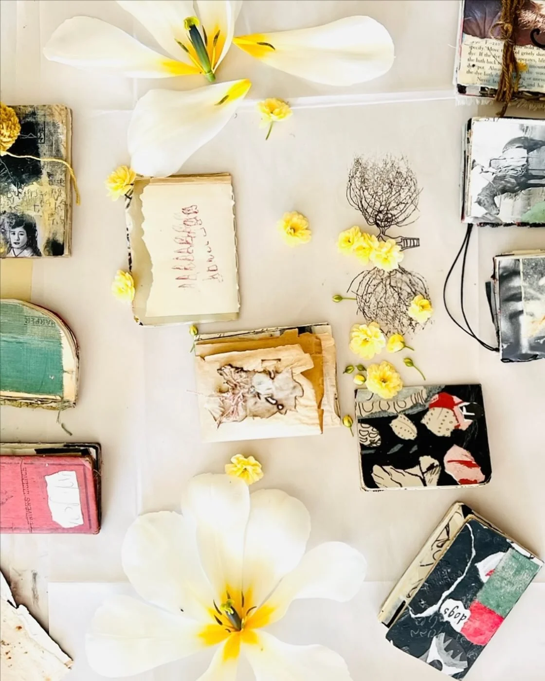 Untamed and gaping spaces. In between the fragile petals, carrying illusions of blankness. Oozing life&rsquo;s longings anyway. Insisting. Managing predetermined borders and see-through, more abstract, boundaries.
Elements loving on each other loudly