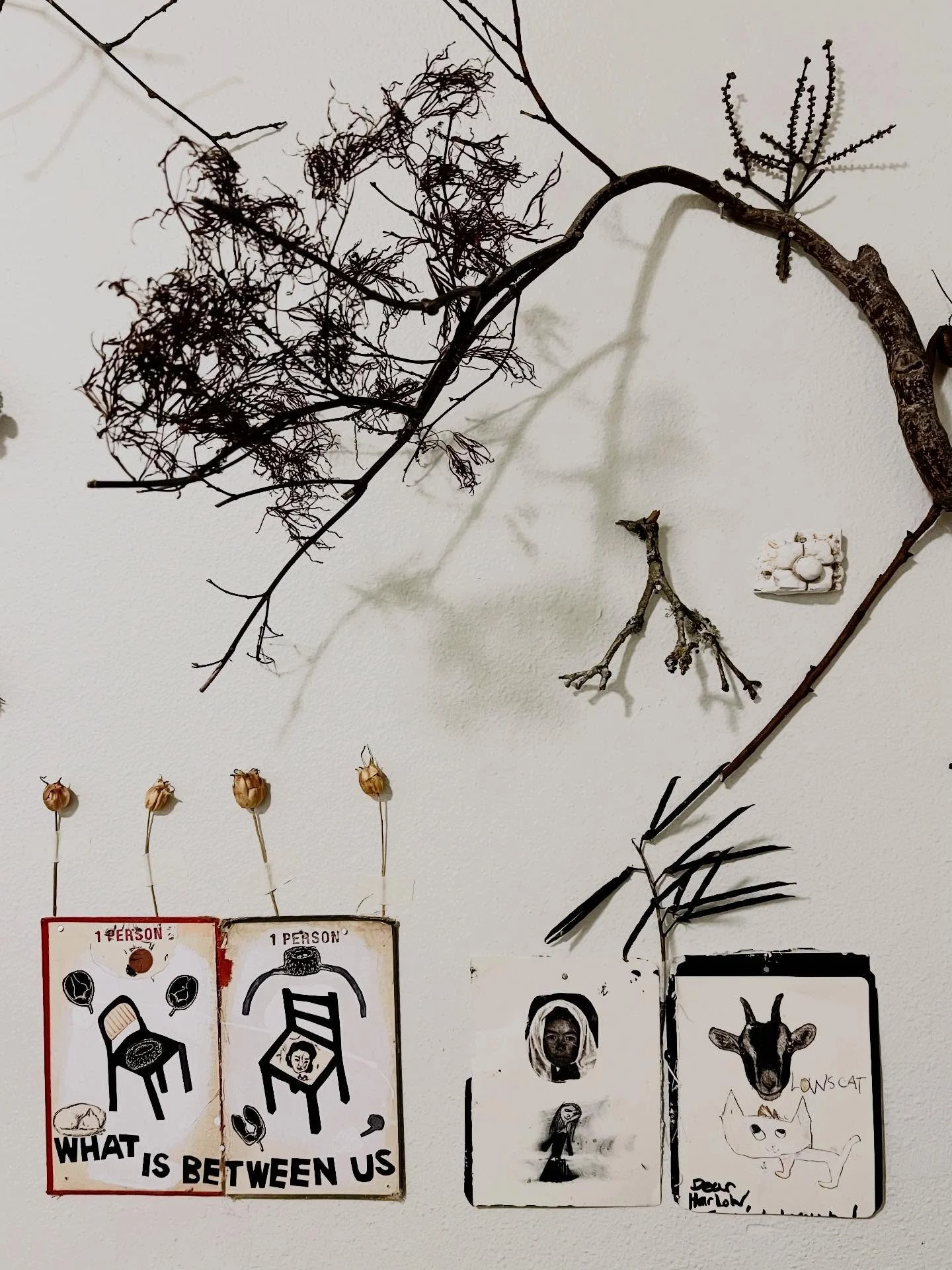 I found it on a beautiful, sunny day.
I found it after great loss:
Fresh verdant soil,
wet and flourishing.
-Fadwa Tuqan