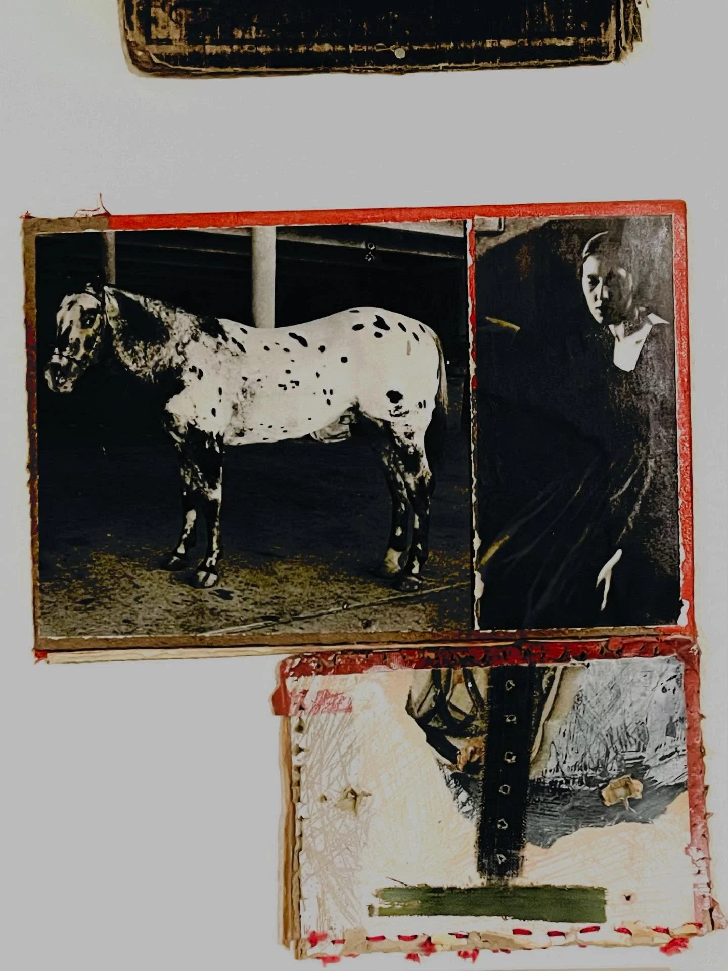 .
.
*The Golden Apples of the Sun*
&mdash;&mdash;&mdash;&mdash;&mdash;&mdash;&mdash;&mdash;&mdash;&mdash;&mdash;
Like nail-biting is the habit of hanging &lsquo;things&rsquo; on walls. Putting objects &lsquo;together&rsquo;. &lsquo;Arranging&rsquo; m