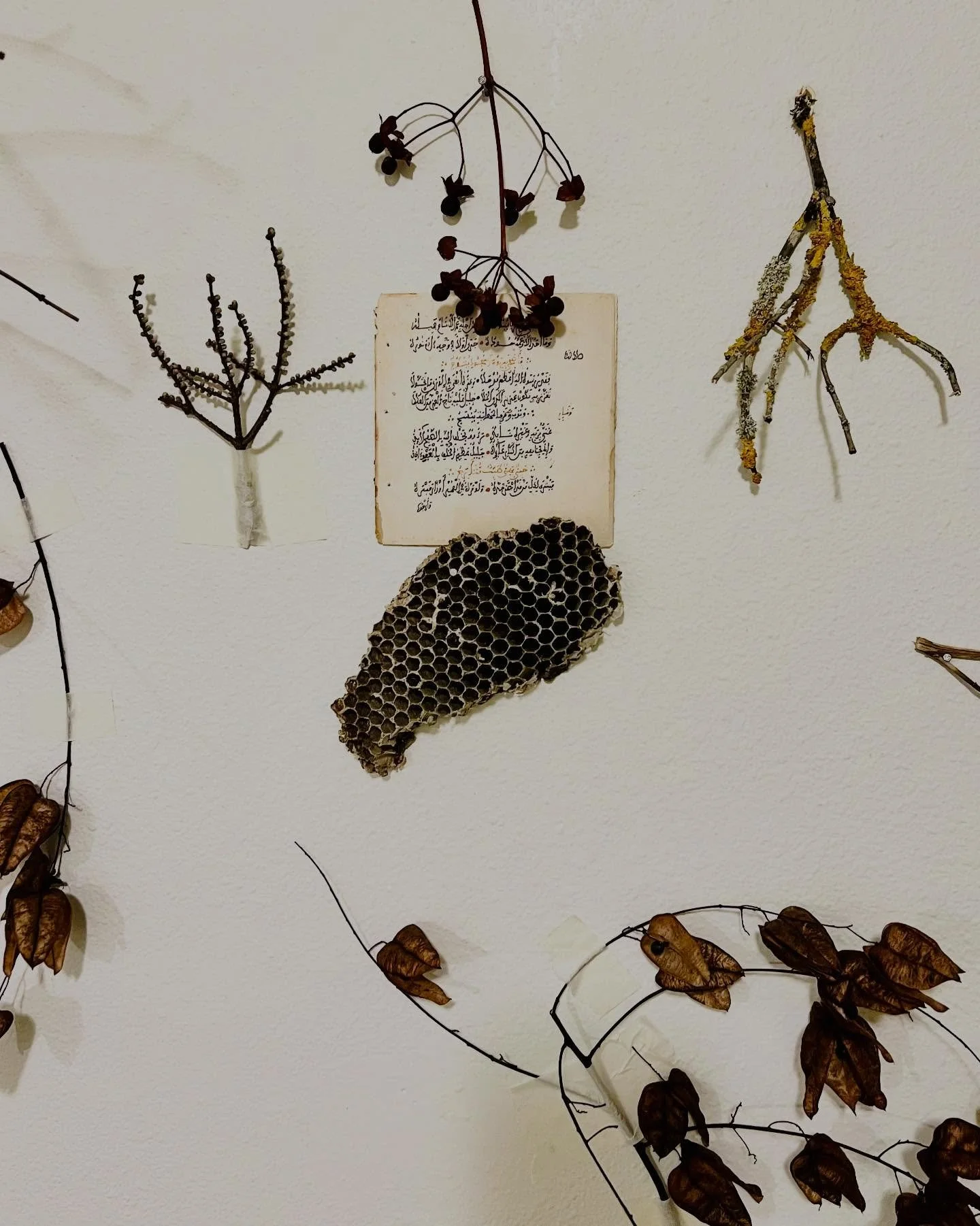 I NEED POETRY..

New on Substack this morning. 

🤎🤍🤎