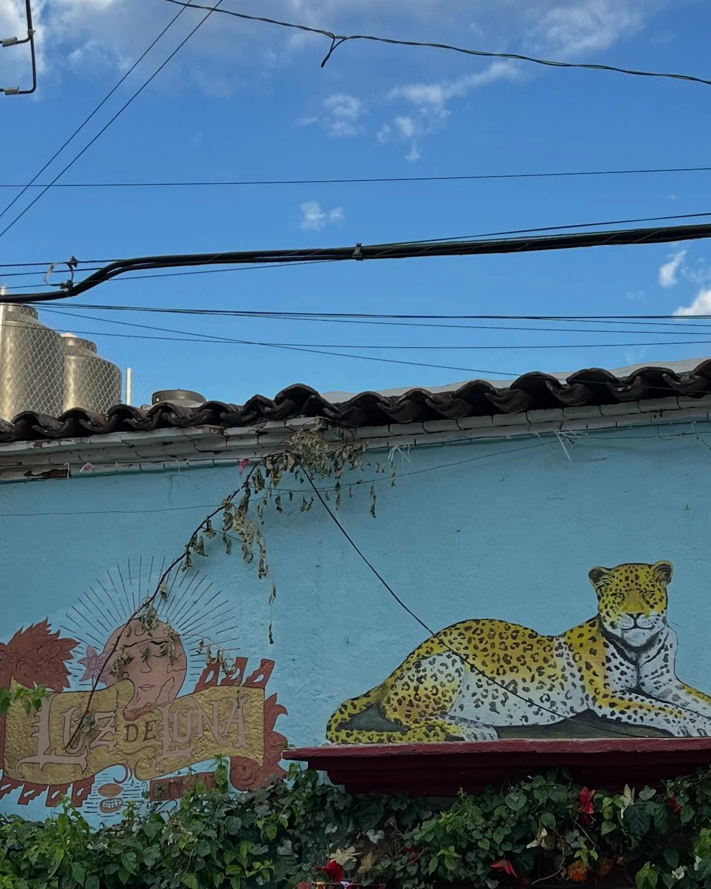 Casi luz de luna.

Almost moonlight, in Oaxaca, this evening.