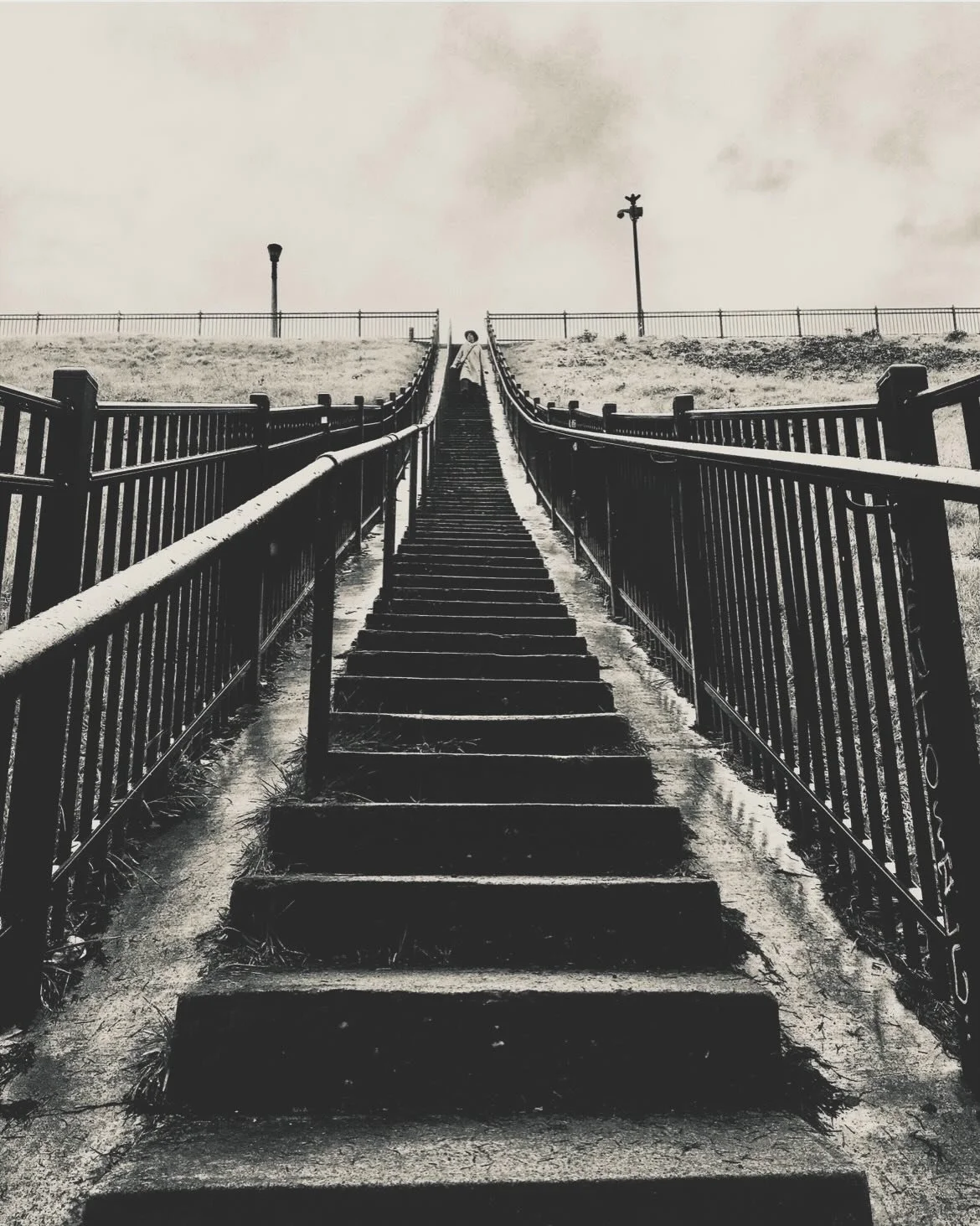 Kissing the ground walked on..

Little knees quivering right under a hem of a dress. 
A woman&rsquo;s hand holding
A flower, perhaps a Rose
Letting the rest, fall. 
Going all in, then, all out. 
Out. 

Releasing. Clutching. 
Arriving here again and a