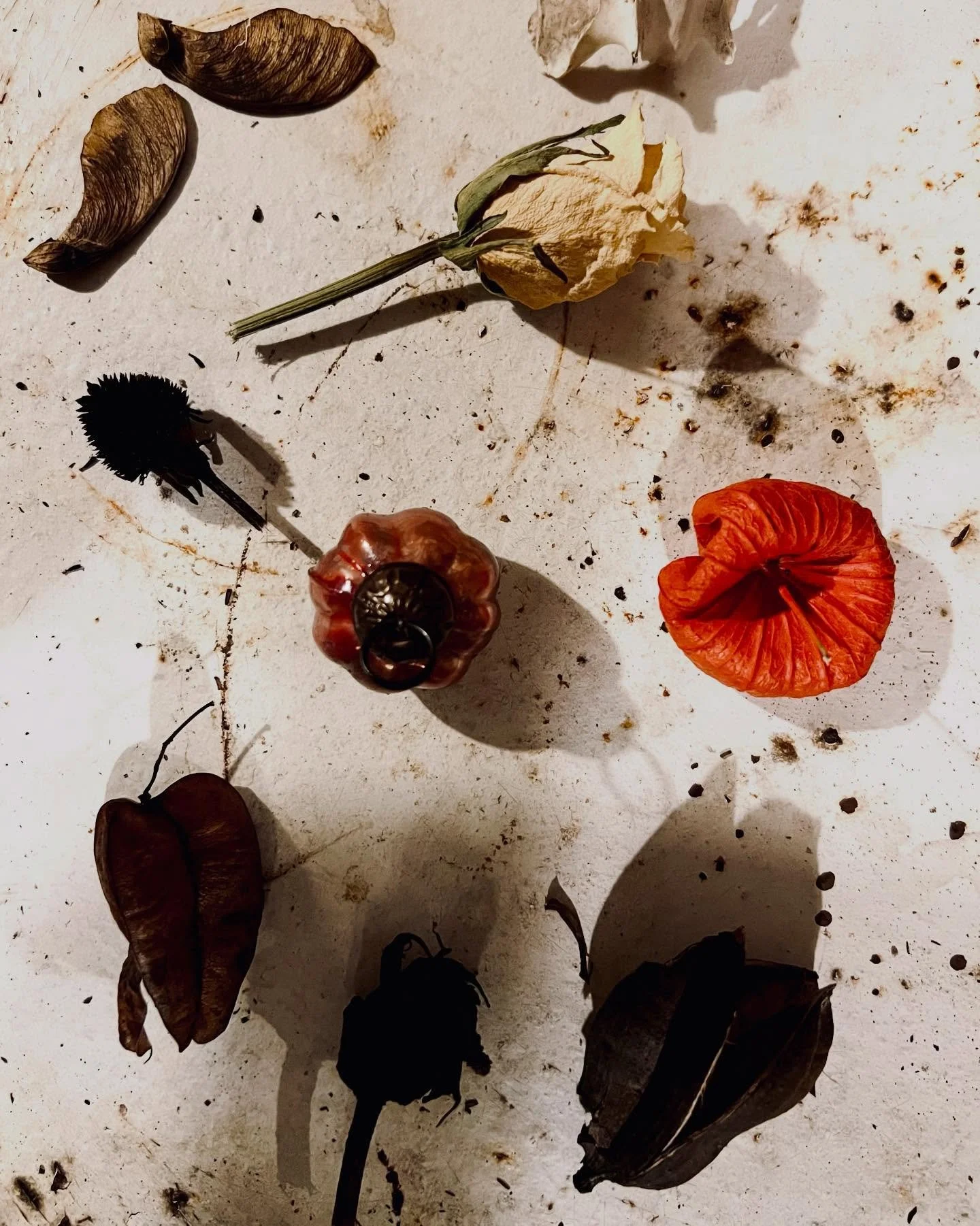 We are a nation that if not glorifies, then encourages, extreme avoidance and gross neglect of one another. 

We are meticulously arranged, as if on a child&rsquo;s plate. Set next to one another in proximity. Yet making sure &lsquo;we don&rsquo;t to