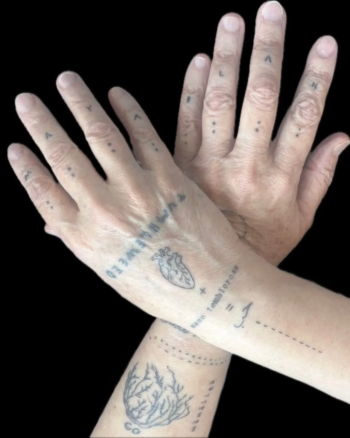 ~ Etched on a Skin
One&rsquo;s own languages ~

A new post this morning, to read and listen to, on orlyavineri.substack.com

🙏🏻🫀