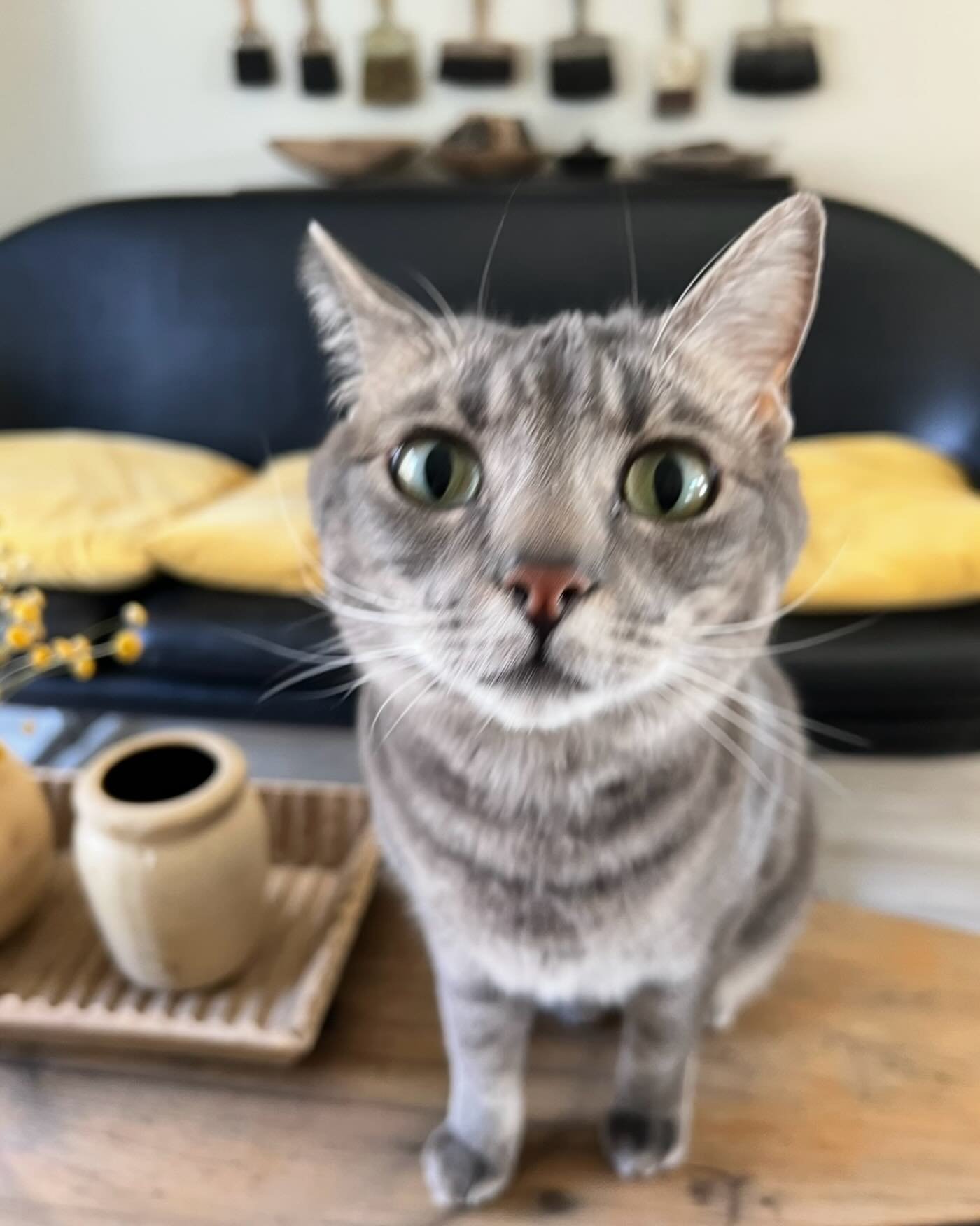 ~ Smoke gets in your eyes ~