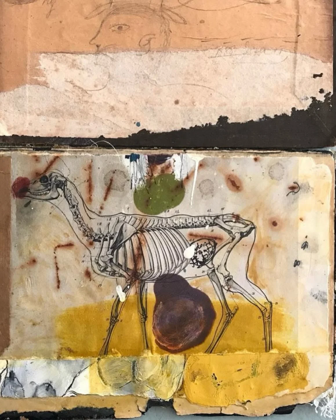 Fear of irreversibility