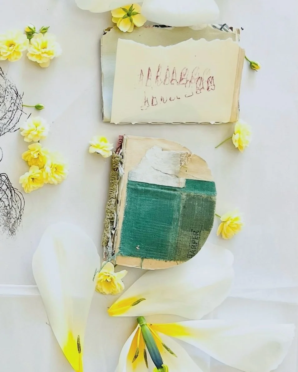 .
.
~ Spring cleaning ~

Light &amp; liberation.

A celebration with thornless Yellow Lady Banks Rose. With green.

With Passover, Nowruz, Diwali, and the rest of us.