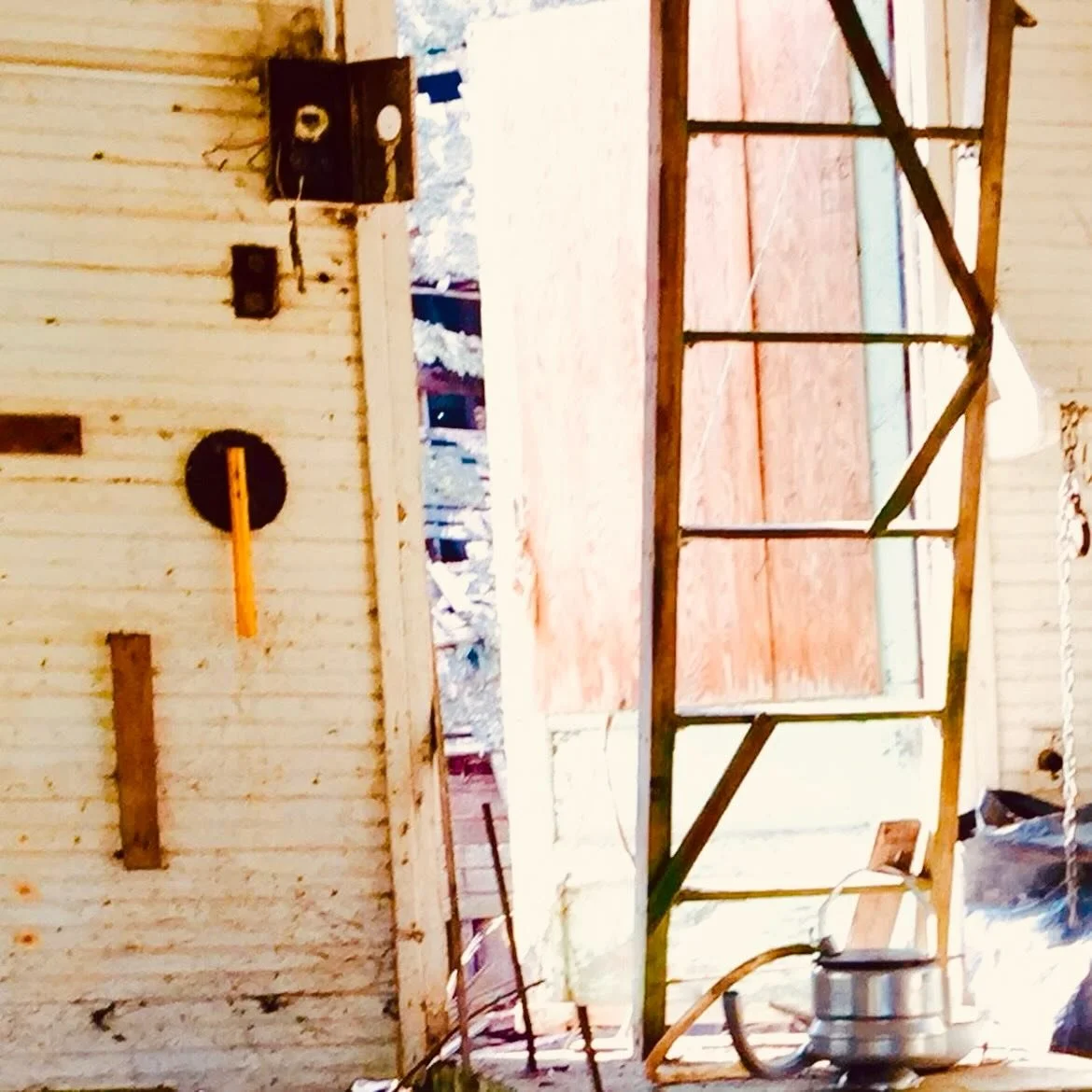 Standing among ruins and Banana Slugs, in Chimacum, WA, a long while ago. Witnessing the gone, or more so, the remains. In awe of what time does without human&rsquo;s consent. That sunken barn and her external delicious pinks. Her chartreuses. Her se