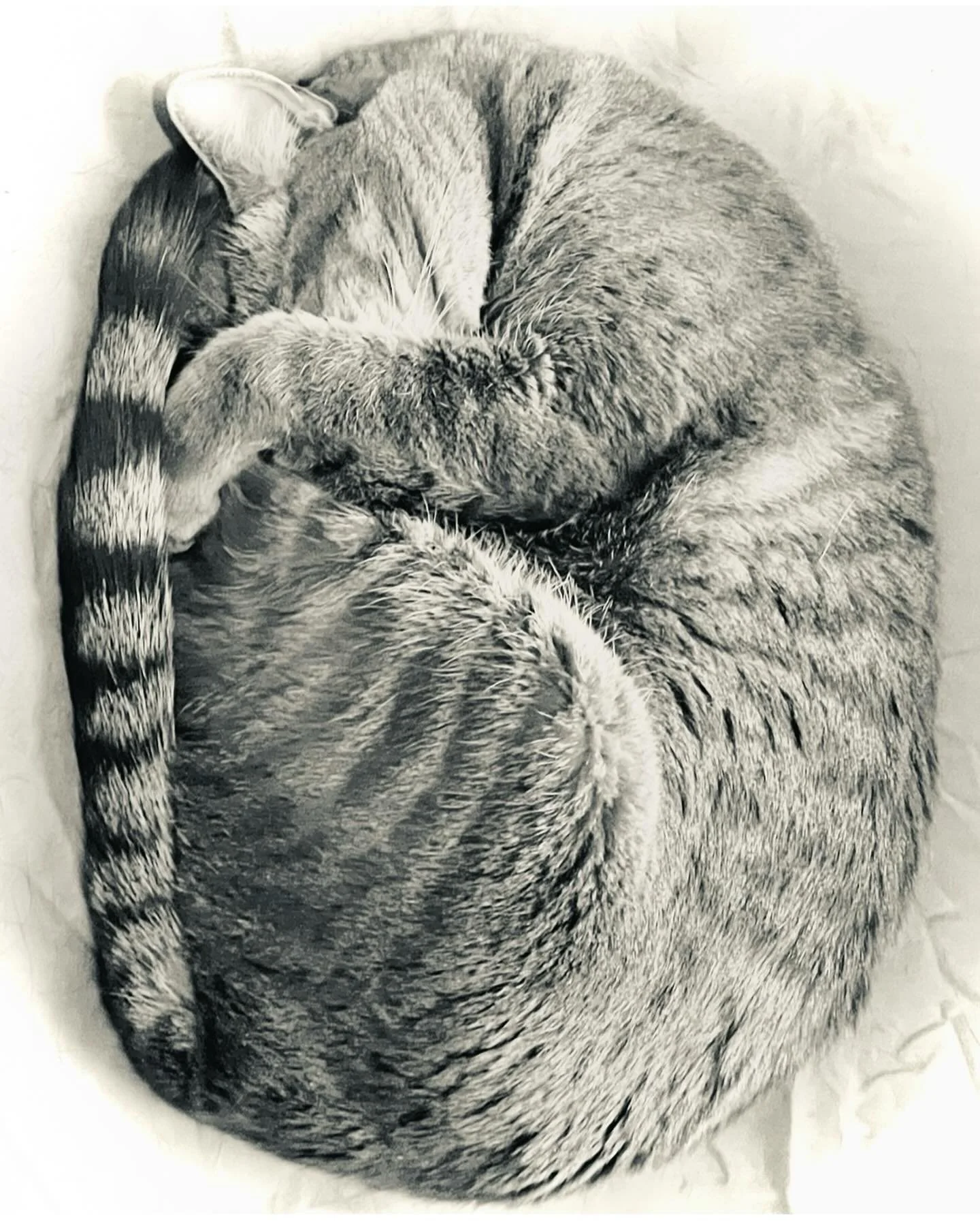 ~ Self-containment ~

Shinji - -
She teaches many things while she&rsquo;s asleep.
And when she gets the zoomies.