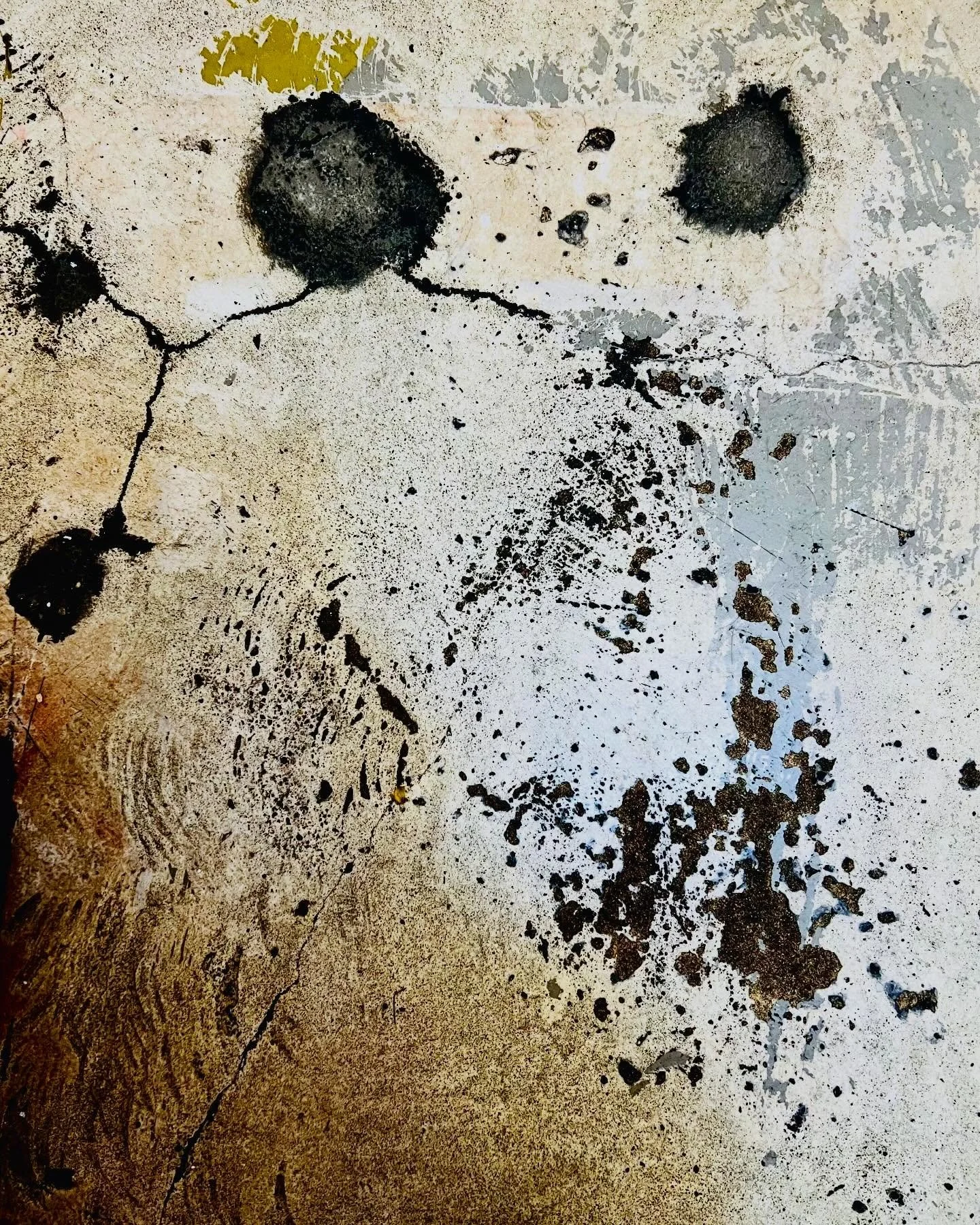 Two views. 

One, seen on a bathroom floor of a restaurant, under artificial light. Behind a locked door. 

Second, breathed in, from a garden chair, while reclining in the back, by the creek, for the first time this year. 

In the open night. 

Taki