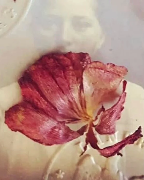 She was so delicate that, while we sat beneath the Linden branches, a leaf would fall and drift down and touch her skin, and it would leave a bruise. So as we sat in the afternoon hour, beneath that fragrant Linden bower, I had to chase all of the le